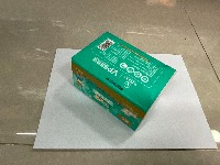 Dataset Image