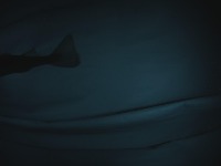 My First Project project thumbnail