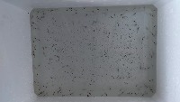 shrimp50 project thumbnail