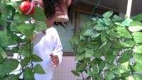 tomato_4EASR project thumbnail