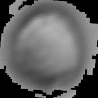 CancerCellsWithAllImages Classification Dataset and Pre-Trained Model ...