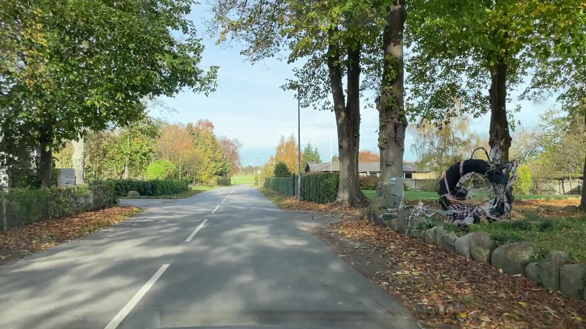 road scanner data Object Detection Dataset by elm