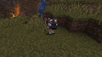 Lobo_Minecraft project thumbnail