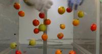 Fruits-All-Detection project thumbnail