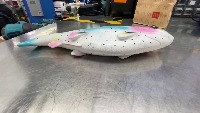 Fablab Fish project thumbnail