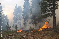 small fire project thumbnail