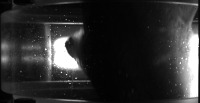 f1133h project thumbnail
