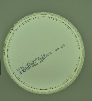 agar-lower project thumbnail