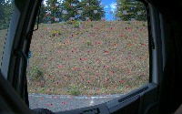 panneau finder project thumbnail