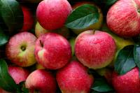 apple project thumbnail