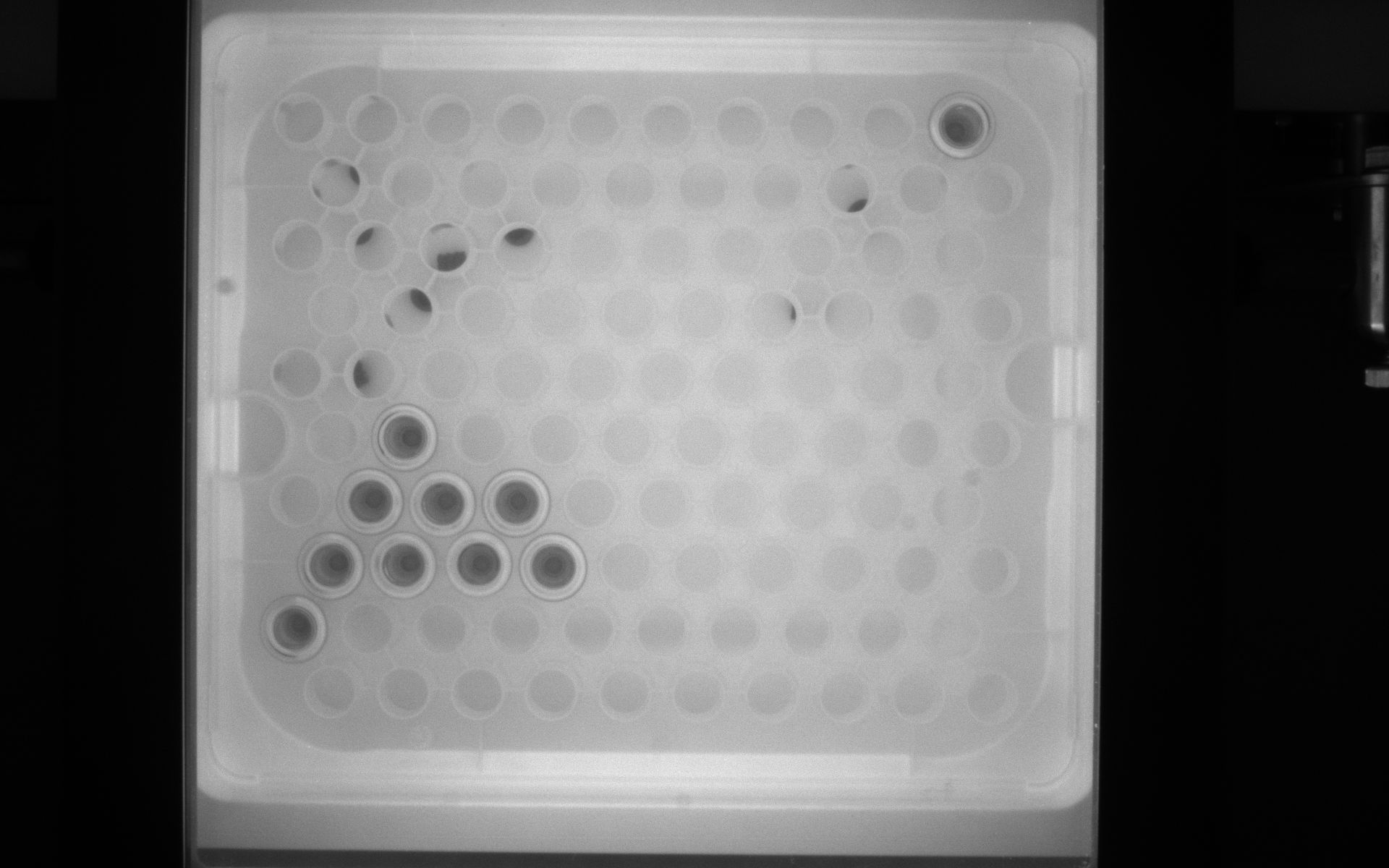 Test detectie Object Detection Dataset by new-workspace-aqk6x