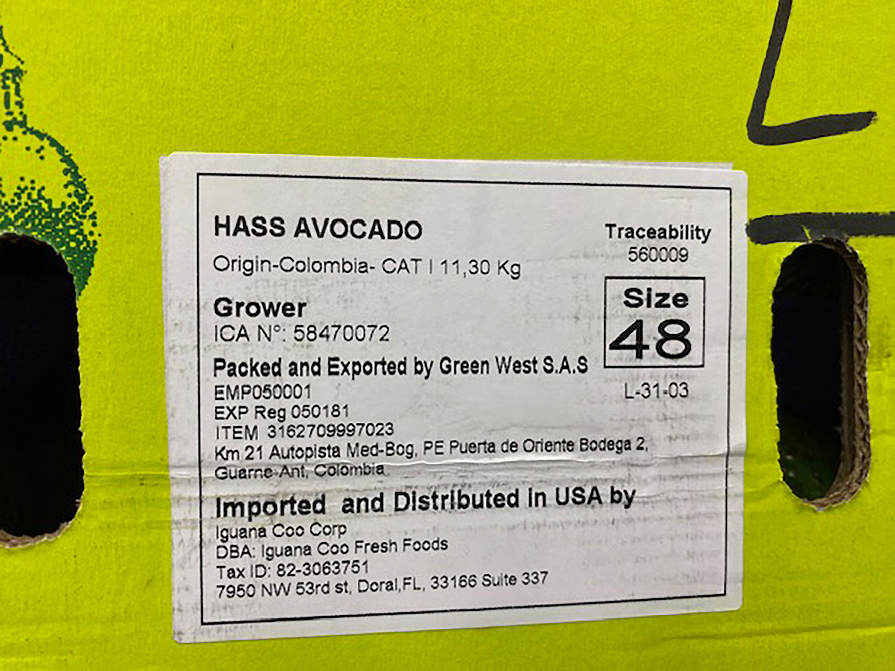 label Object Detection Model by Test