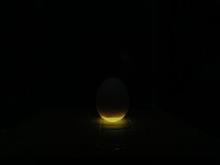 Rotten eggs project thumbnail