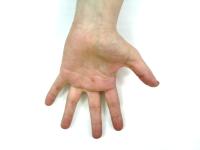 hand detect project thumbnail