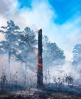 fire and smoke project thumbnail
