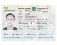 Passport_seg_project project thumbnail