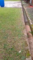 grass project thumbnail