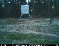 Animal repellent system project thumbnail