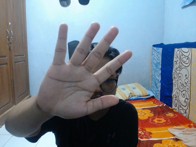 Hand Gesture Object Detection Dataset by HANDS GESTURES