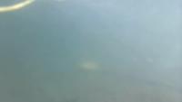 sekil2 project thumbnail