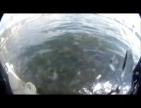 bos_auv project thumbnail
