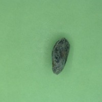 cacao classification project thumbnail