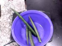 imageClassification project thumbnail