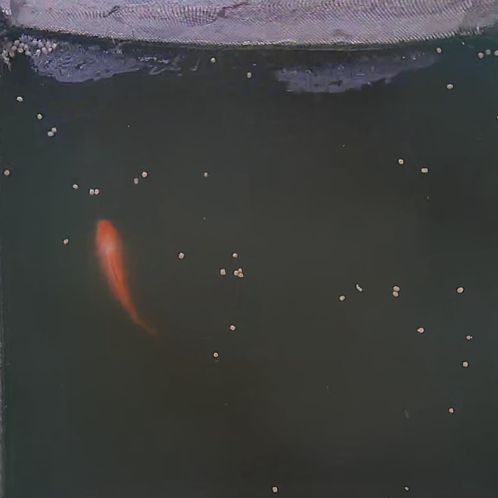 Fish Instance Segmentation Dataset by Test Project