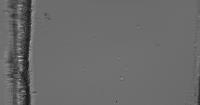 sitometri-300-instance-brush project thumbnail