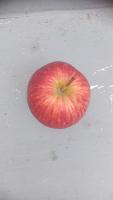 nutrition project thumbnail