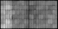 25_05_22_Img_44_Punam project thumbnail