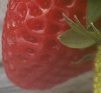 Strawberry Detection project thumbnail