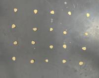 corn seed quality project thumbnail