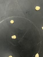 seed detection project thumbnail