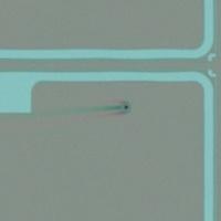 Wafer Defect detection YOLOv8 project thumbnail